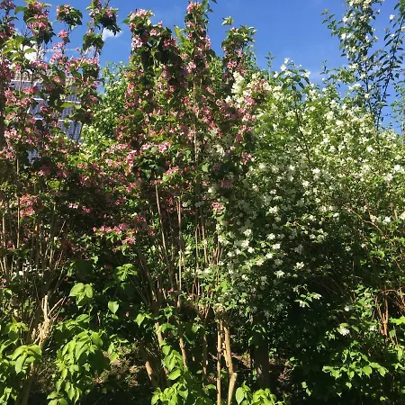 Appartamento Augsburg-bergheim E.